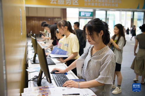 成都“百日万企”促青年就业 软件开发行业迎来新机遇